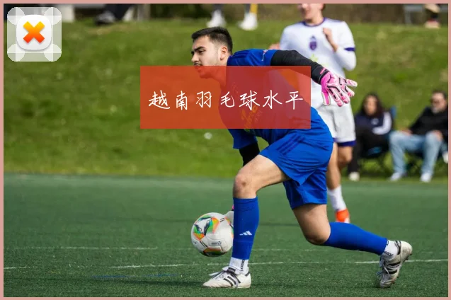 越南羽毛球水平